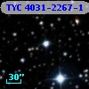 TYC 4031-2267-1