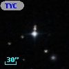 TYC  836-1137-1