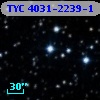 TYC 4031-2239-1