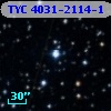TYC 4031-2114-1