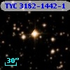 TYC 3182-1442-1