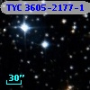 TYC 3605-2177-1