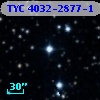 TYC 4032-2877-1