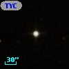 TYC  830-603-1