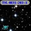 TYC 4031-203-1