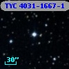 TYC 4031-1667-1