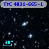 TYC 4031-665-1