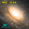 NGC  3169