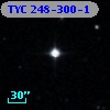 TYC  248-300-1
