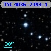 TYC 4036-2493-1