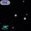 TYC  248-919-1