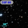 31P 66