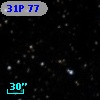 31P 77