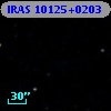 IRAS 10125+0203