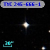 TYC  245-666-1