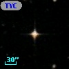 TYC  245-915-1