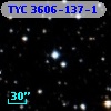 TYC 3606-137-1