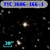 TYC 3606-166-1