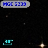 MGC  5239