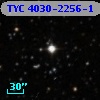 TYC 4030-2256-1