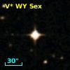 V* WY Sex