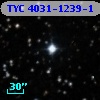 TYC 4031-1239-1