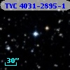 TYC 4031-2895-1