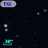TXS 1013-036