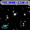 TYC 3606-1230-1