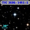 TYC 3606-1481-1