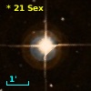 *  21 Sex