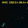 HVC 250.5+36.5+187