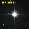 HR  3988