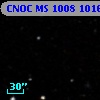 CNOC MS 1008  101677