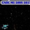 CNOC MS 1008  101329