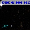 CNOC MS 1008  101235