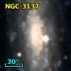 NGC  3137
