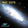 NGC  3175
