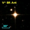 V* BR Ant