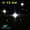 V* YZ Ant