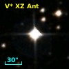 V* XZ Ant