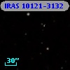 IRAS 10121-3132