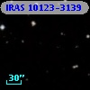 IRAS 10123-3139