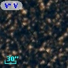 V* V4356 Sgr