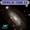 [TP95] IC  2560  11