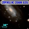 [TP95] IC  2560 125