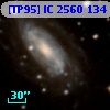 [TP95] IC  2560 134