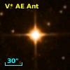 V* AE Ant