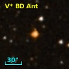 V* BD Ant