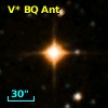 V* BQ Ant